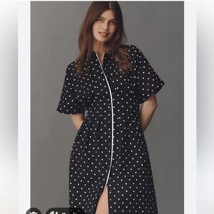 Tobie Shirt dress NWT